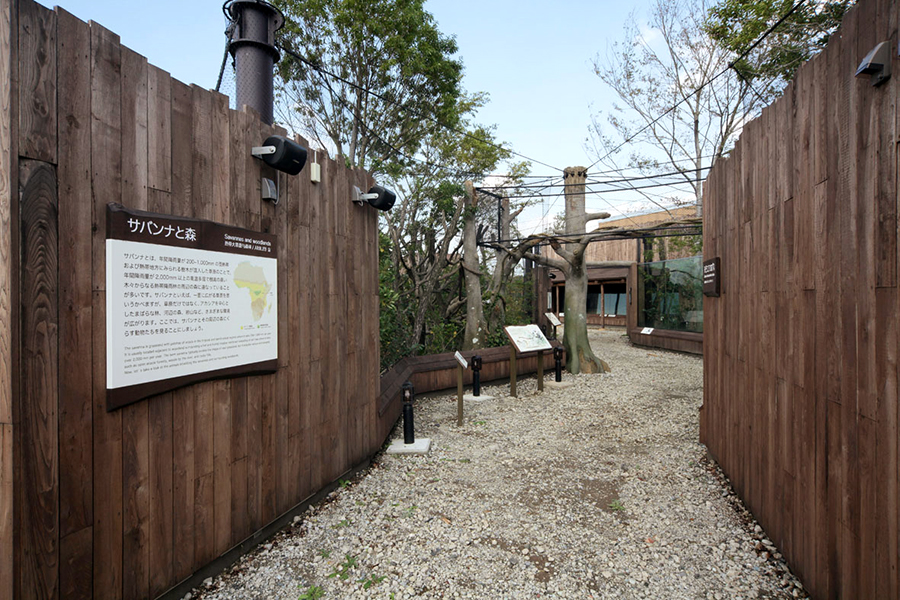 横浜動物の森公園ズーラシア アビシニアコロブス舎他新築工事