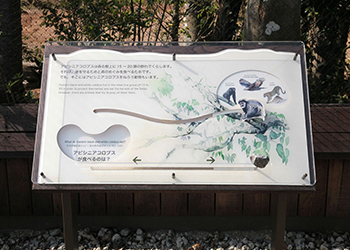 横浜動物の森公園ズーラシア アビシニアコロブス舎他新築工事
